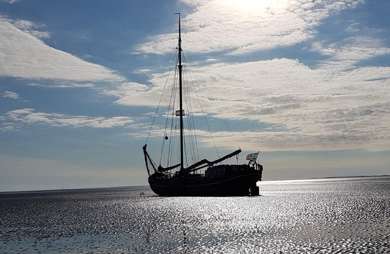 Jade drooggevallen op de Waddenzee